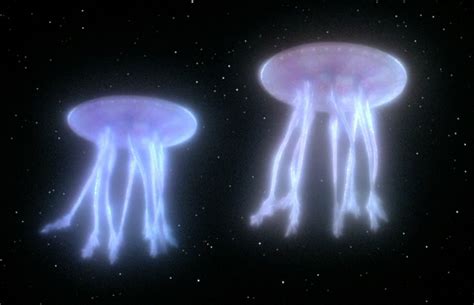 The Question of Extraterrestrial Life: Could Star Jelly Hold the Answers?